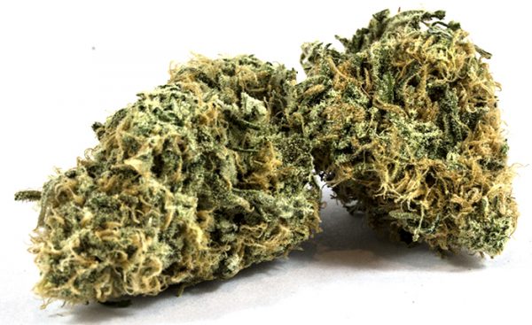 https://shaunexoticsla420.com/Buy Zombie Kush online Buy Zombie Kush online