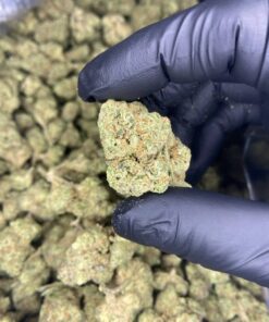 Apple fritters strain